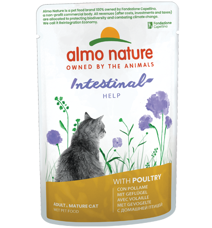 Almo Nature Intestinal Help con Pollame 70 g – Cibo Completo per Gatti Adulti Almo Nature Intestinal Help con Pollame 70 g – Cibo Completo per Gatti Adulti